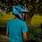 Sujoy Dutta