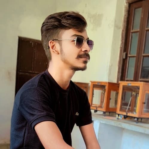Aashish Kumar and