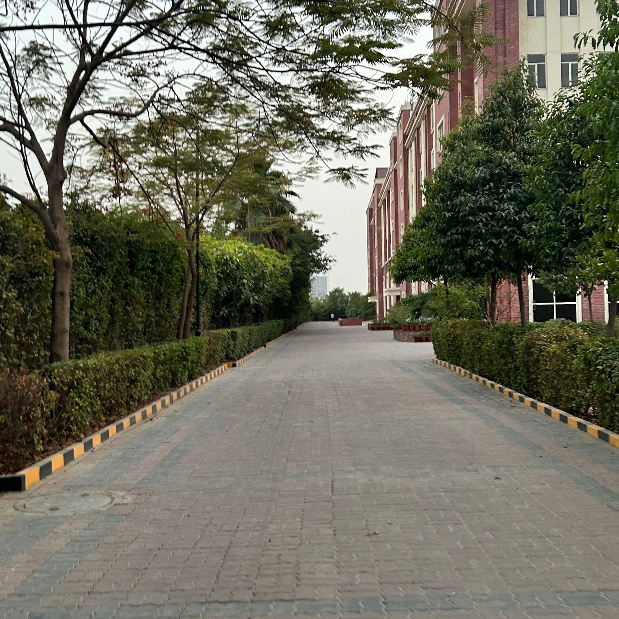 chirag kataria