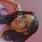 Divyanshi karnwal