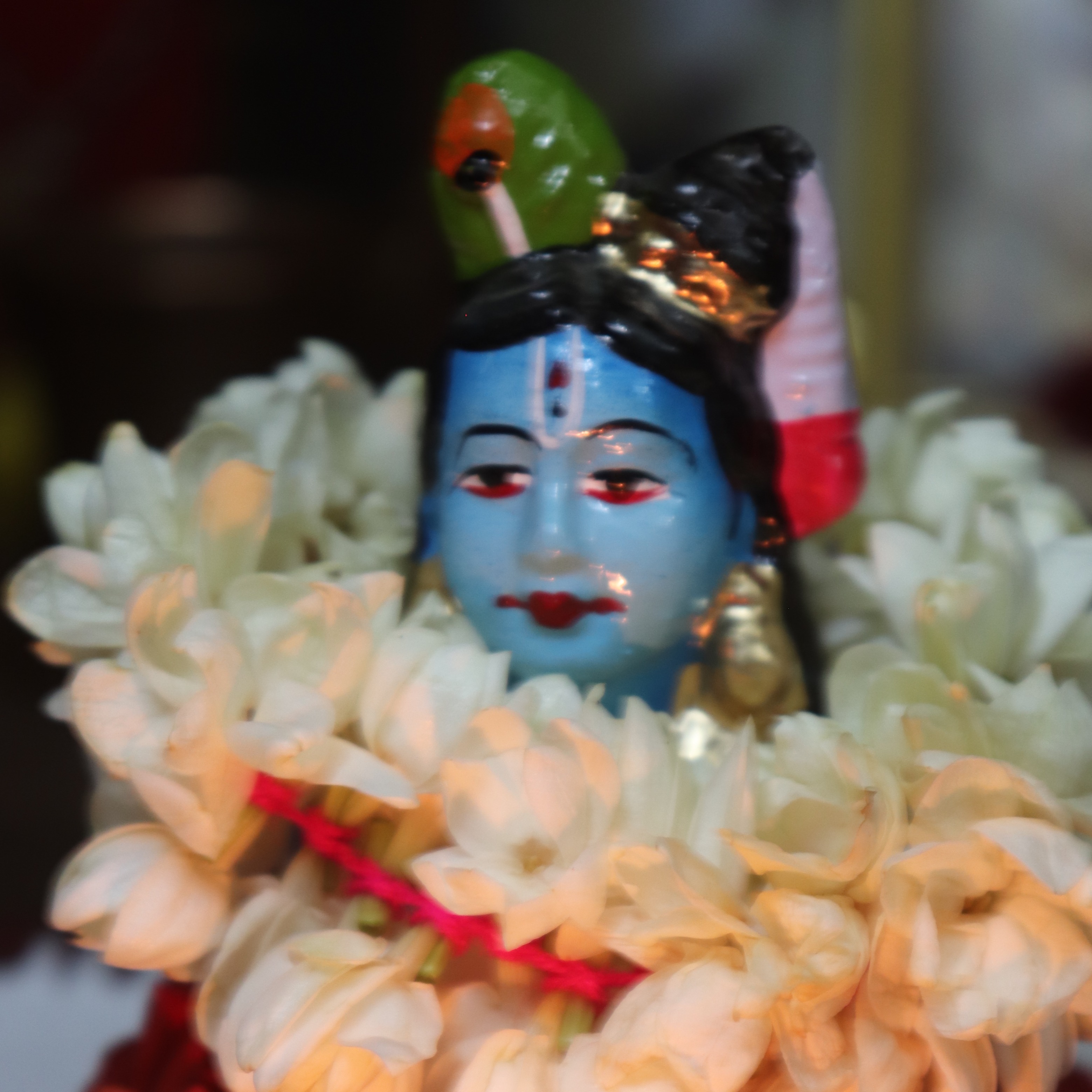 Saranya SG
