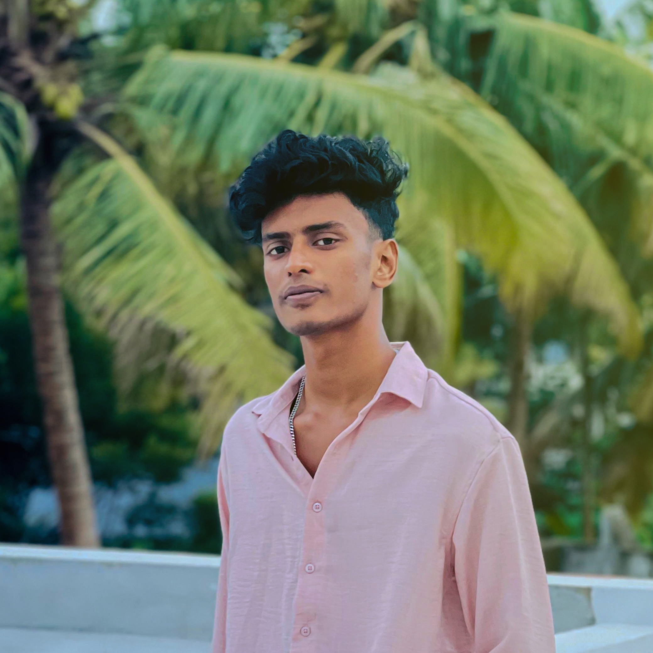 Muhammed Afsal N