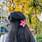 Tanvi verma