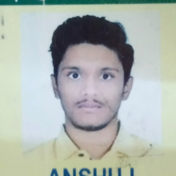 Anshu L