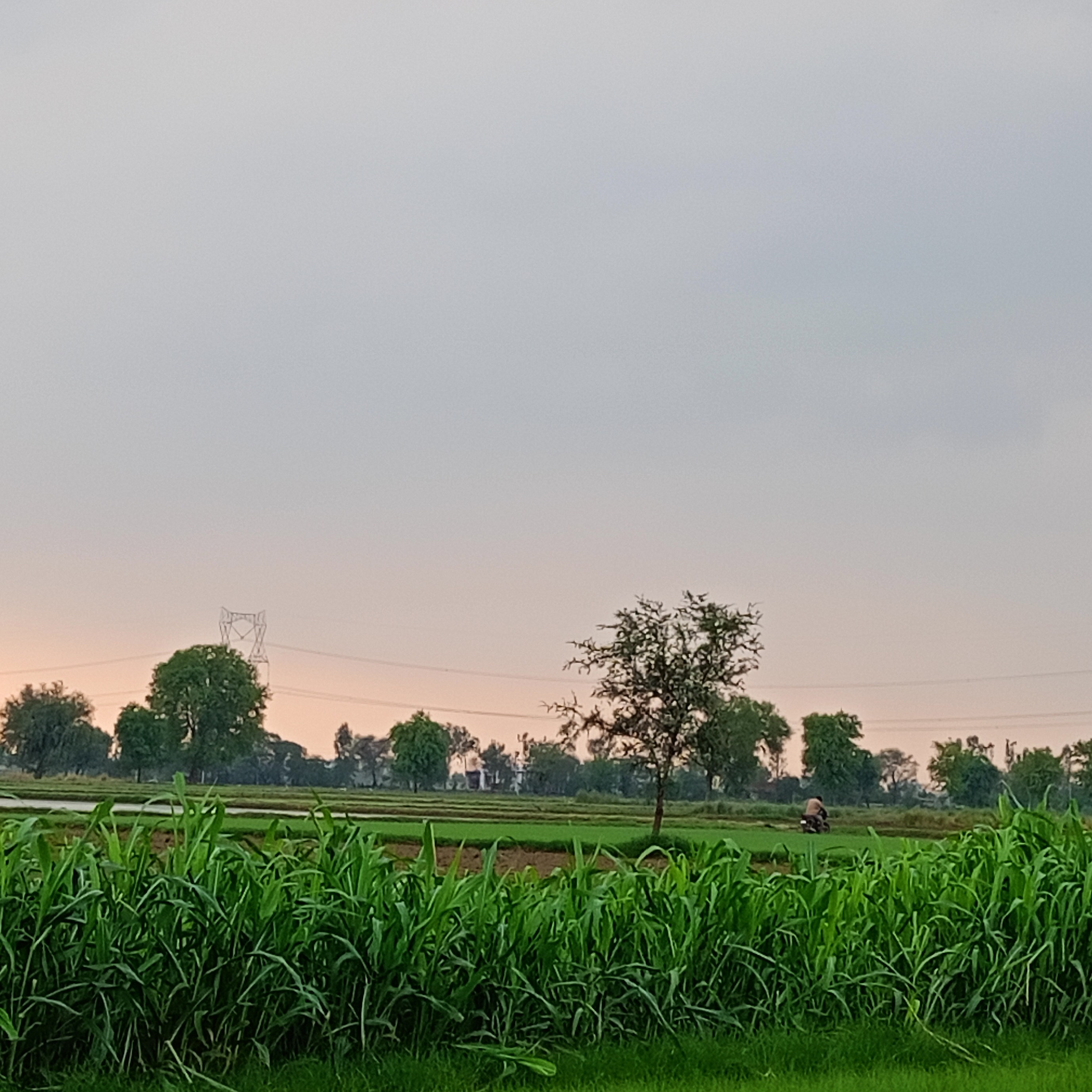 Khushi Beniwal