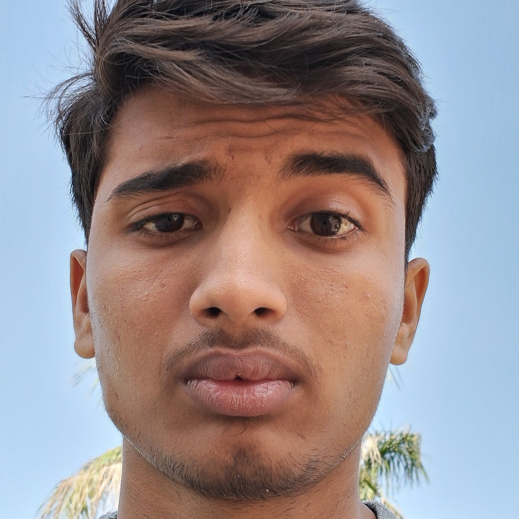 ankush