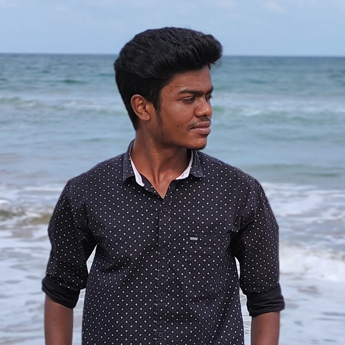 Harish Krishna M