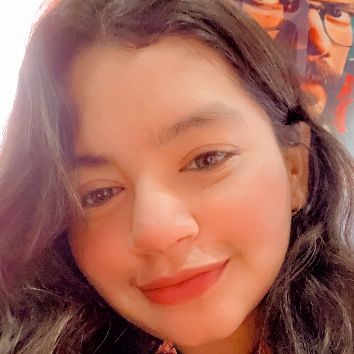 Falak Ansari