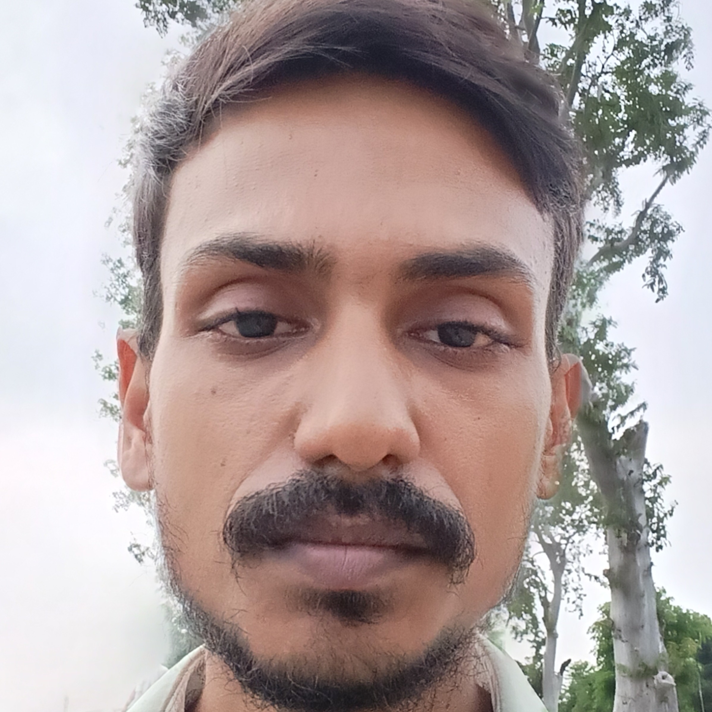 Anubhav Jha