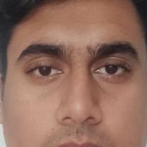 Mridul Arora