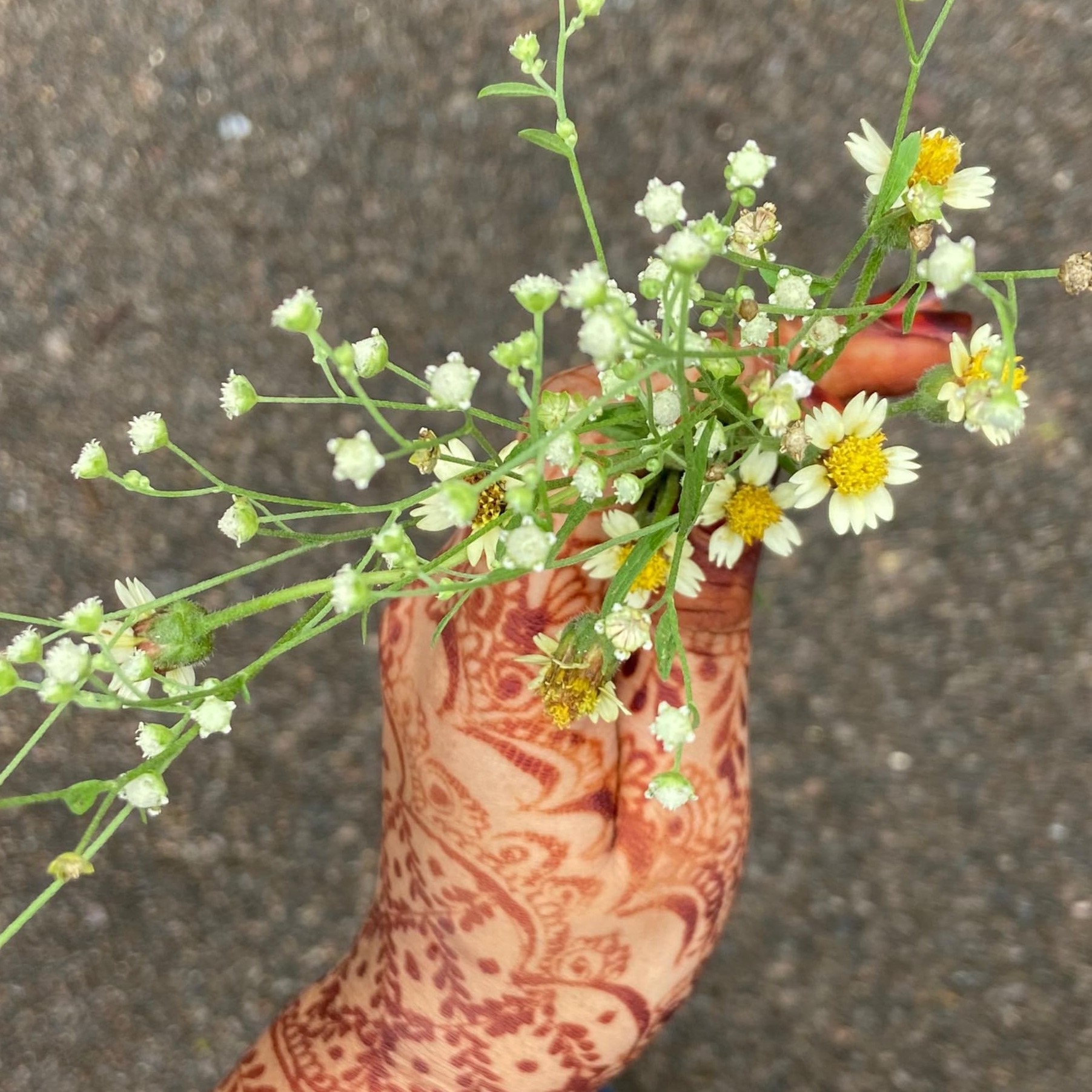 Aisha Tabassum