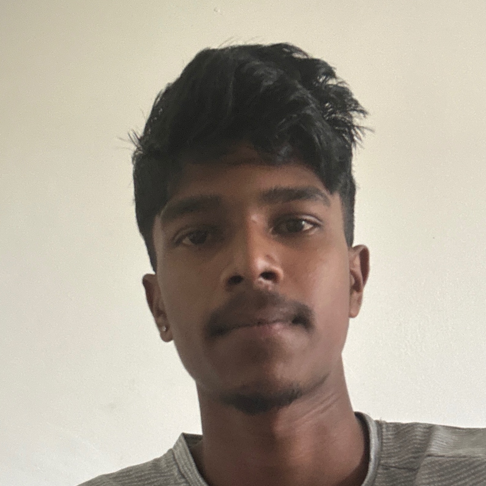 Pavanroy