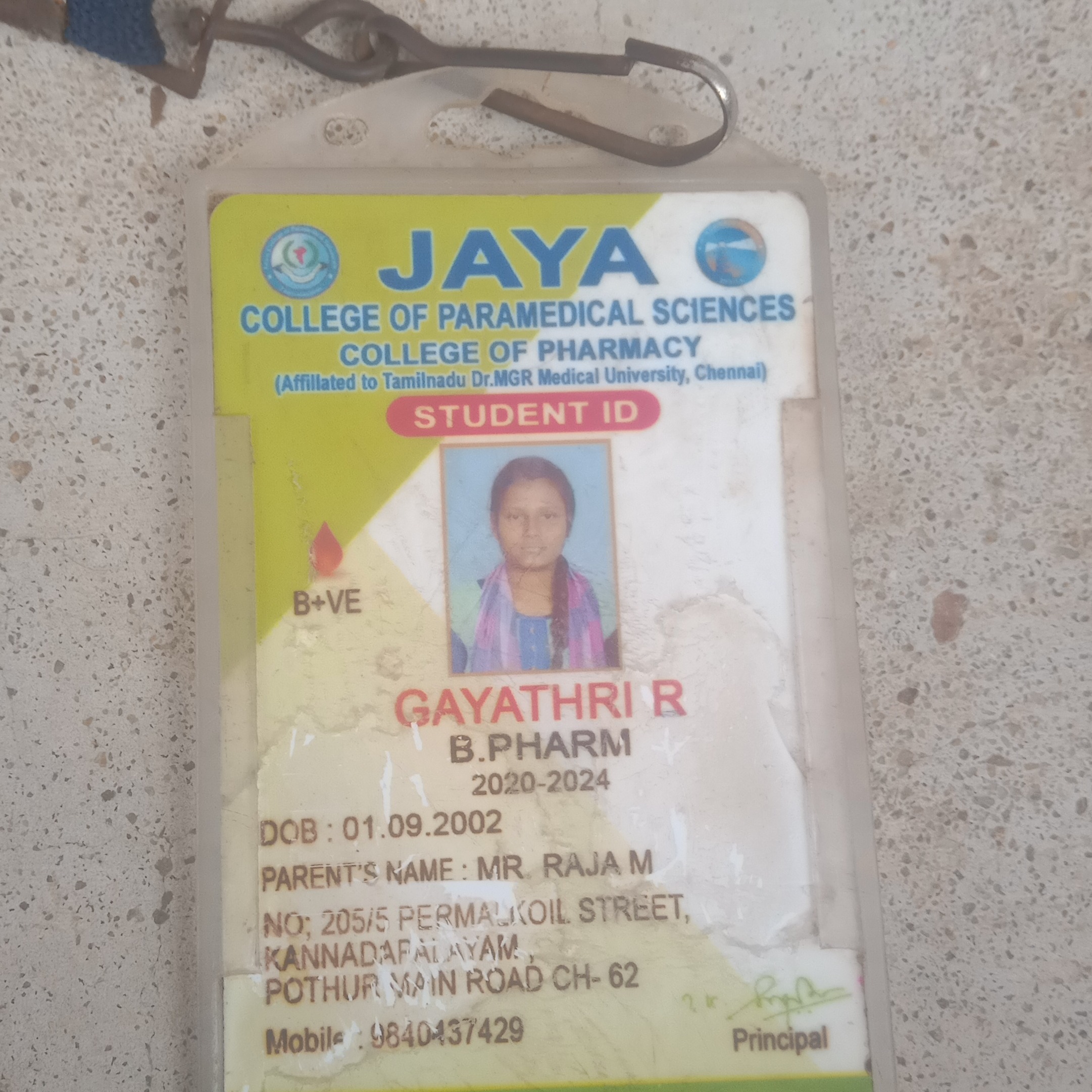 Gayathri raja