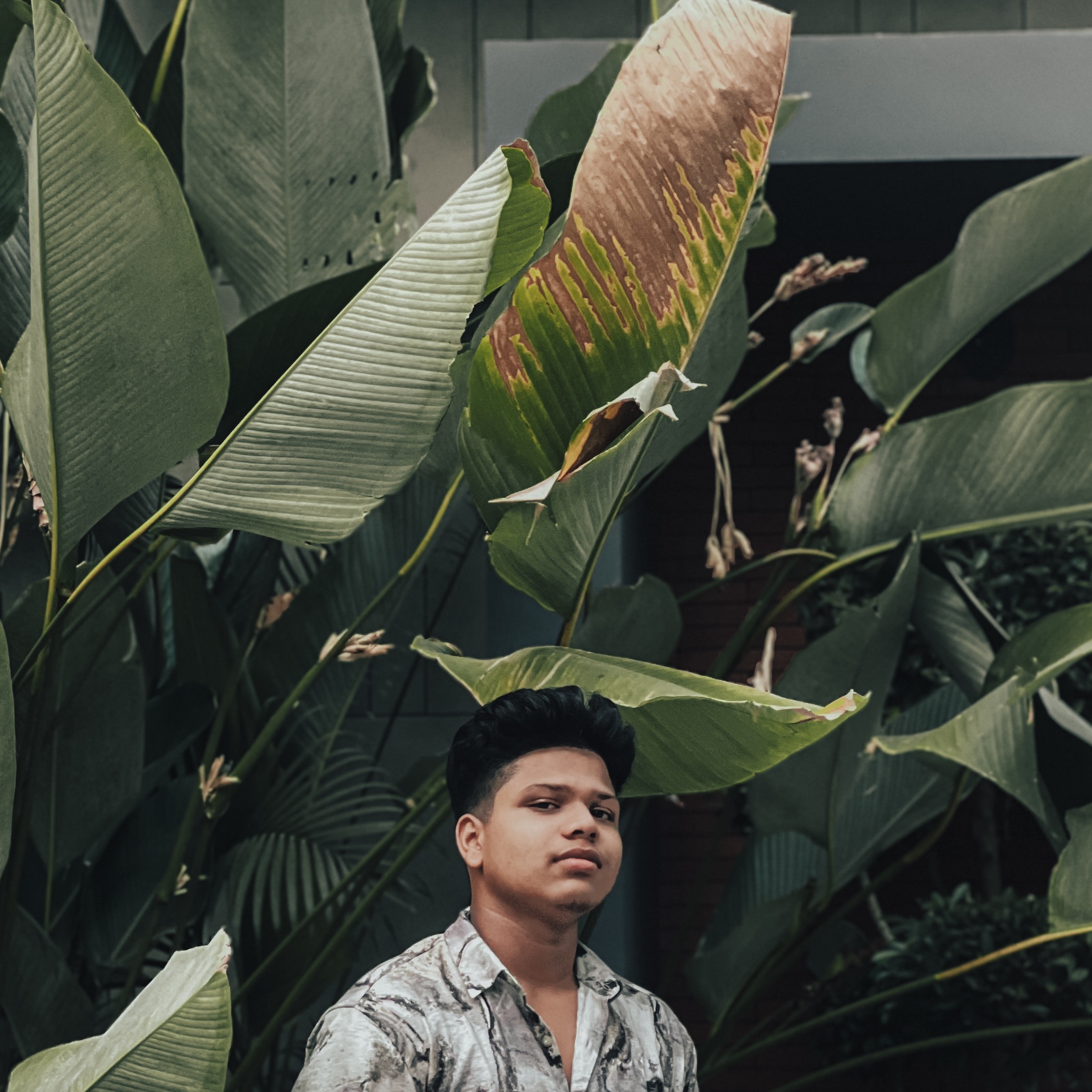 Anvin Mohd