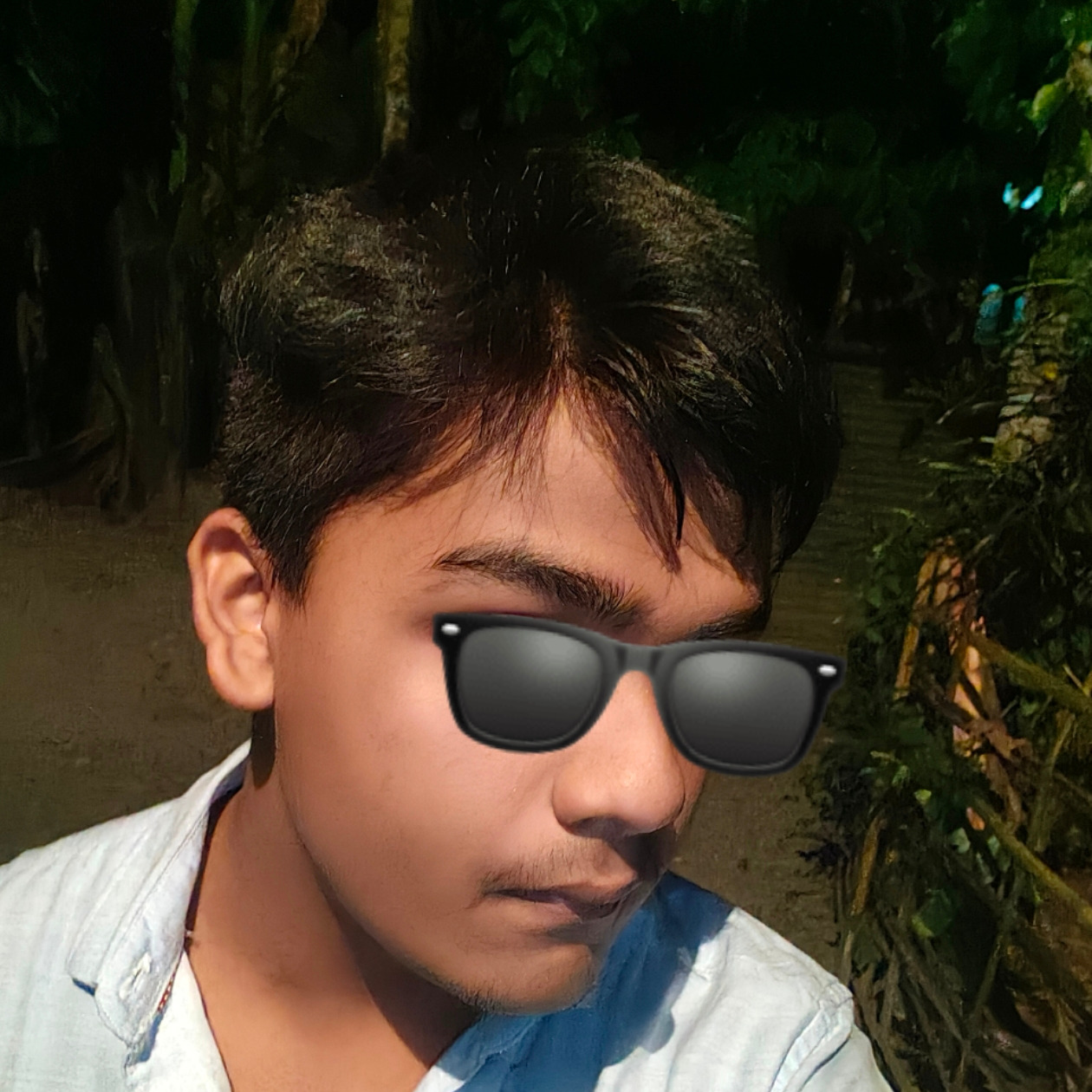 Biprajit dhar
