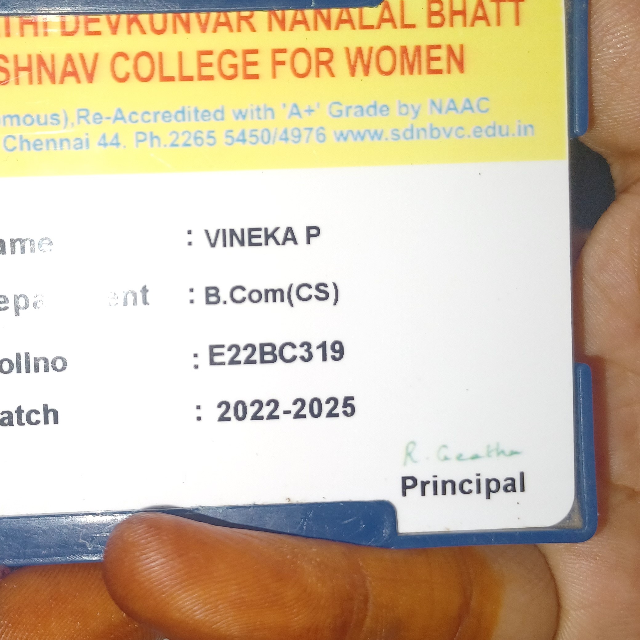 Vineka