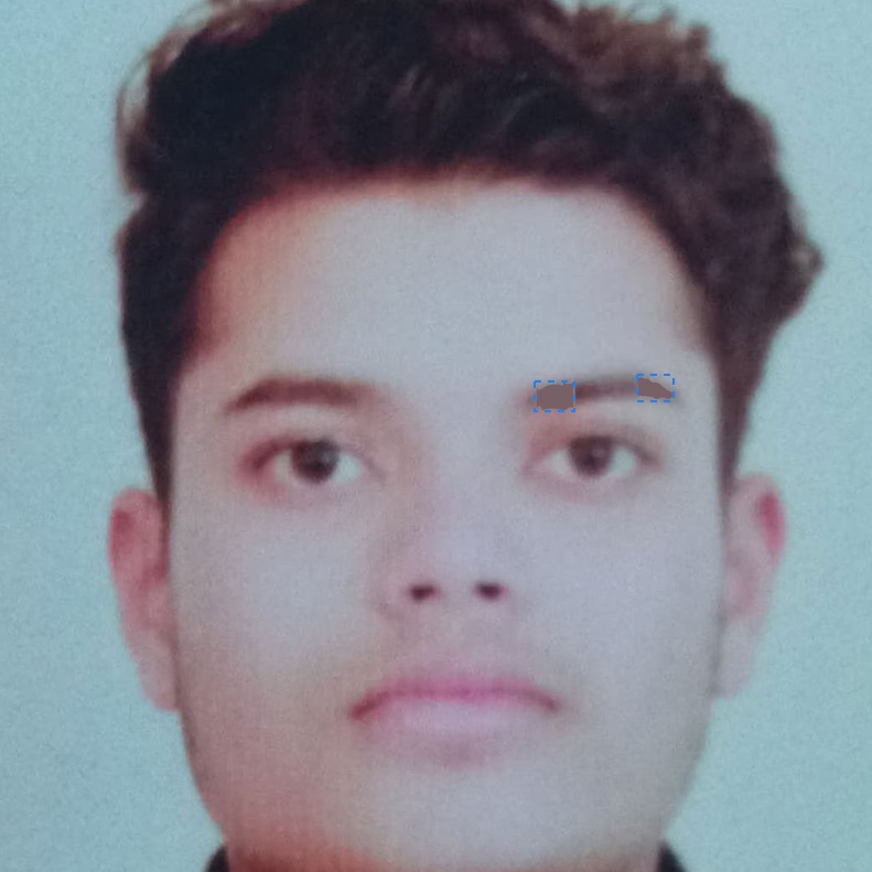 Vansh Partap Singh Rana