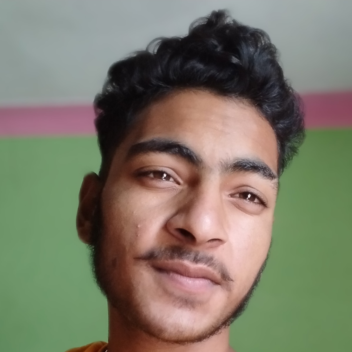ashok barowal