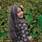 PRERONA HAZRA
