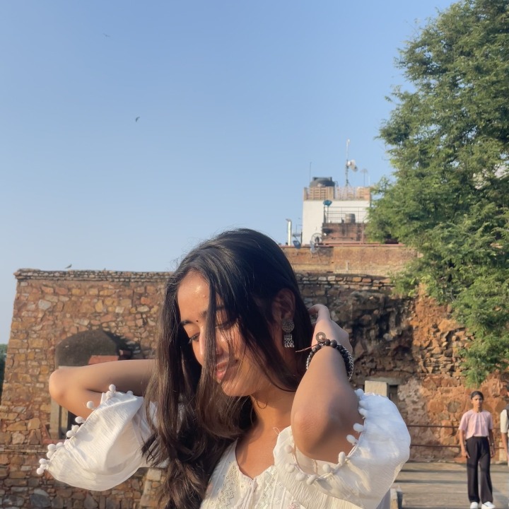 Anshu kanwar
