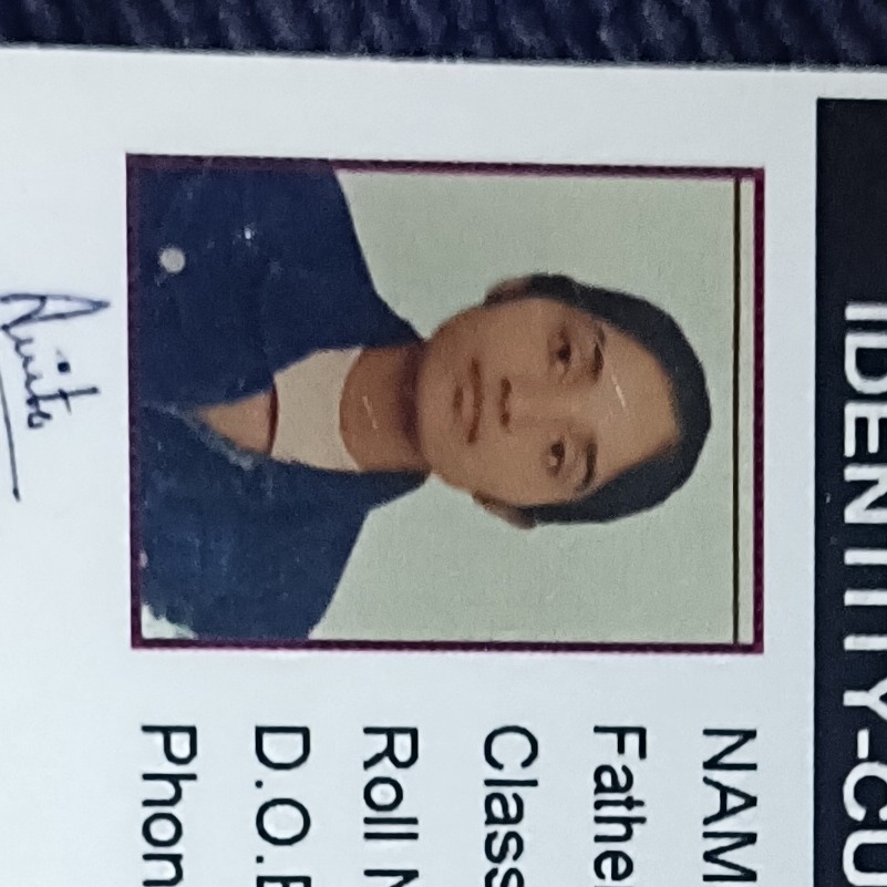 Damini