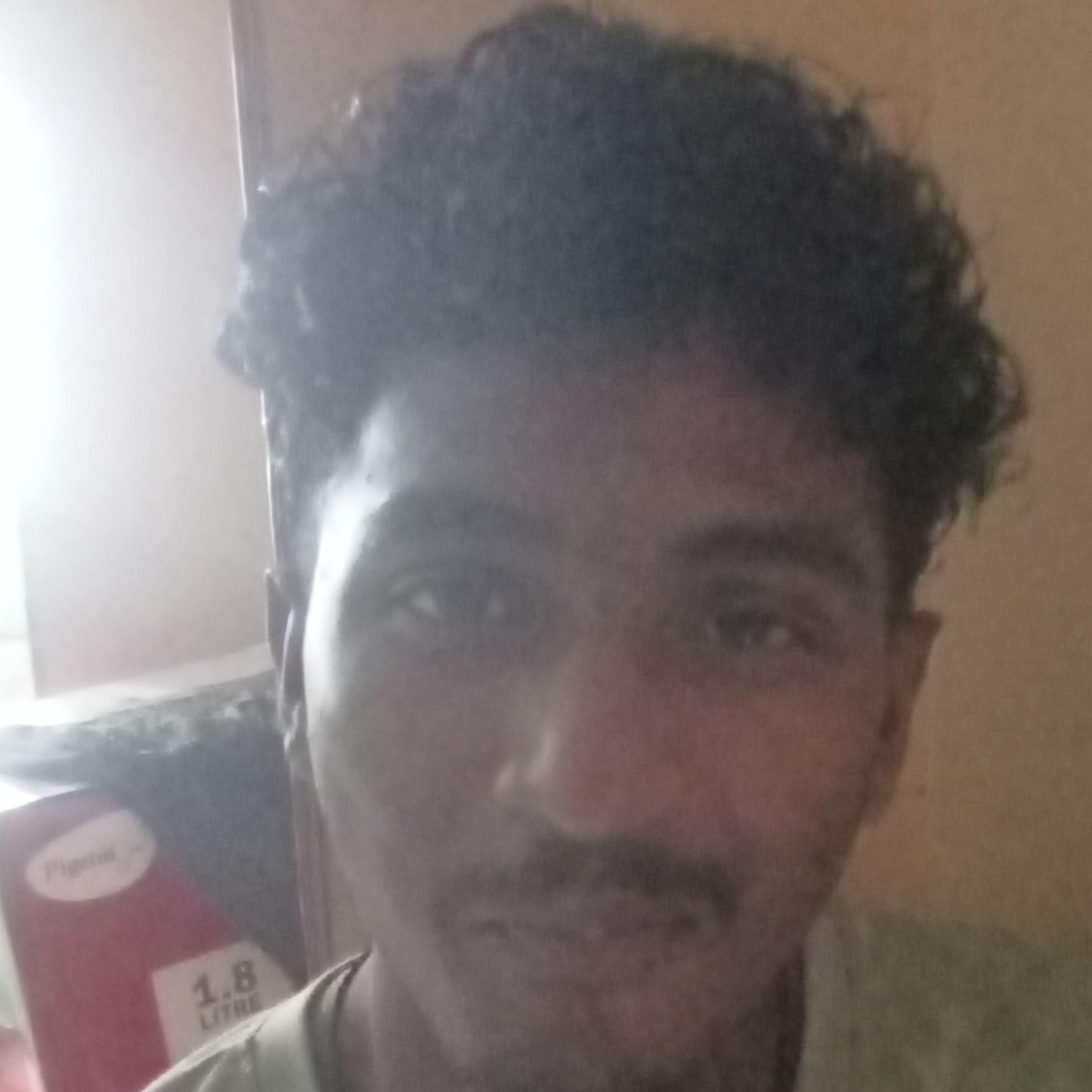 Kailasa Rishi