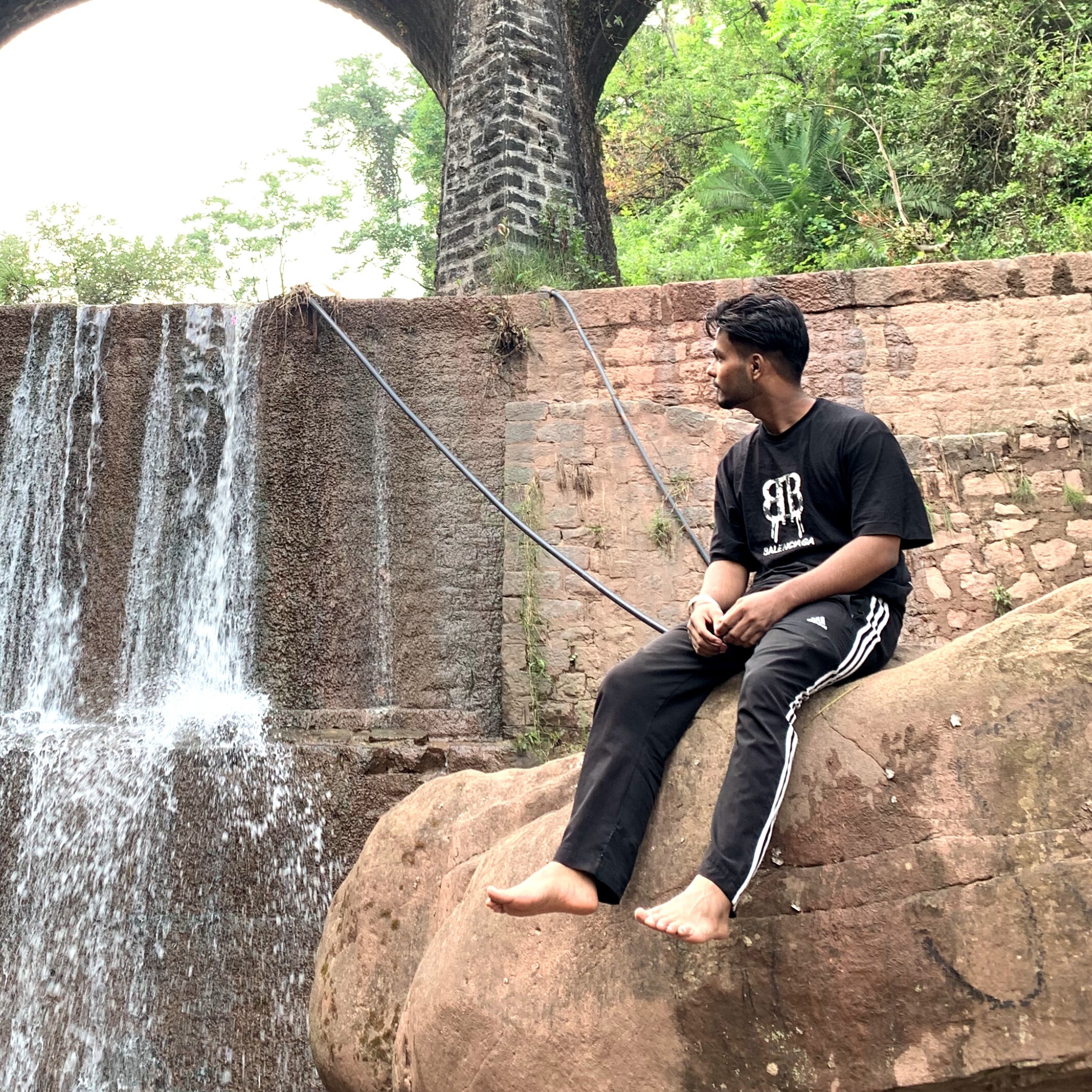 Hemant
