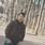 Vineet kumar