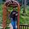 Lone Irfan