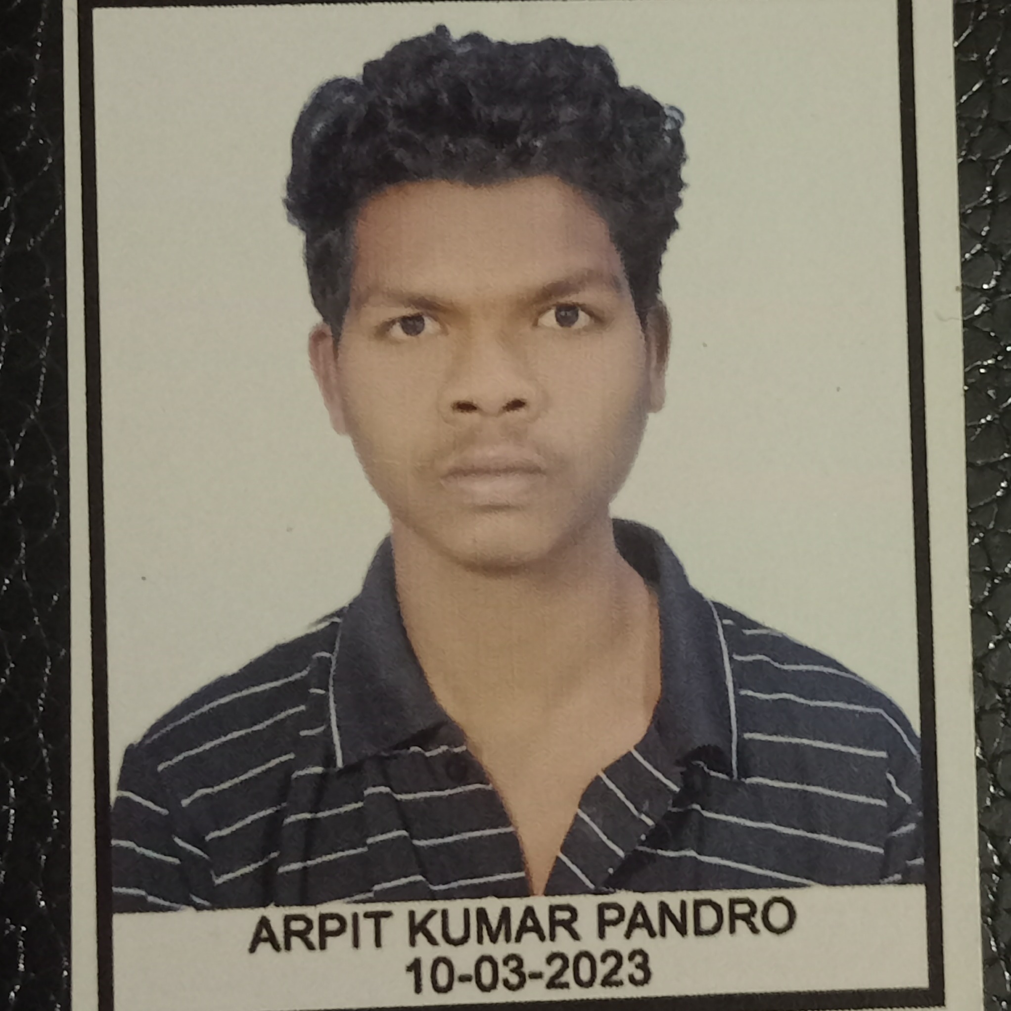arpit pandro