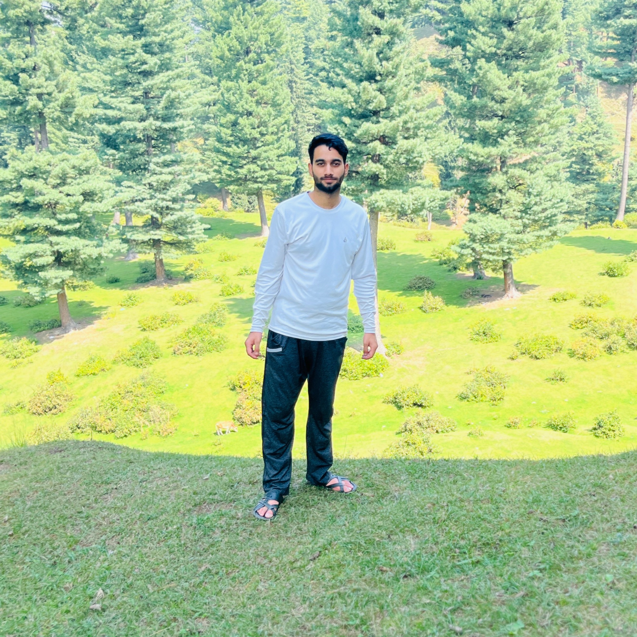 SARWAT RASOOL