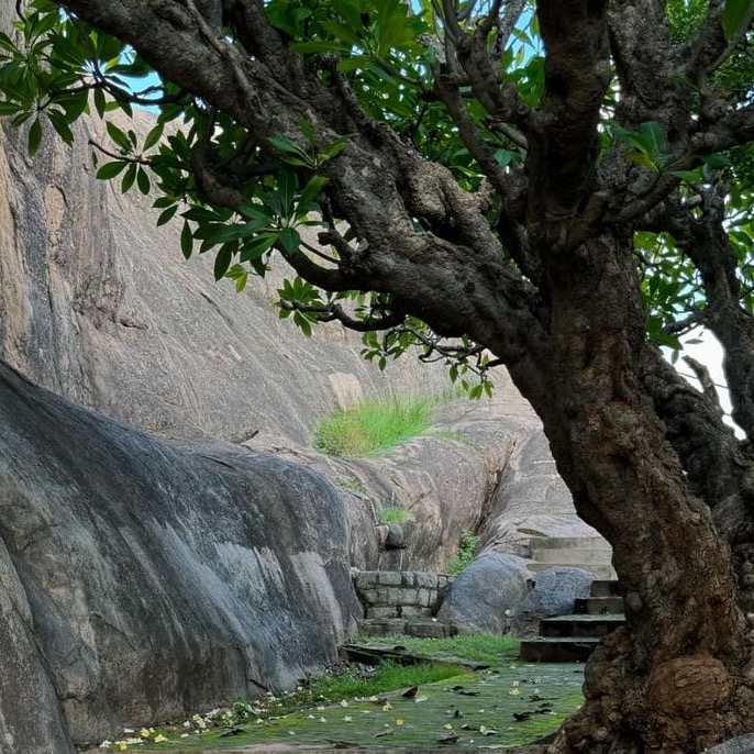 Adithyakrishna