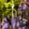 Adhithya Ks