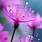 Soumyashree Sahoo