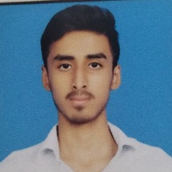 Salman Ansari