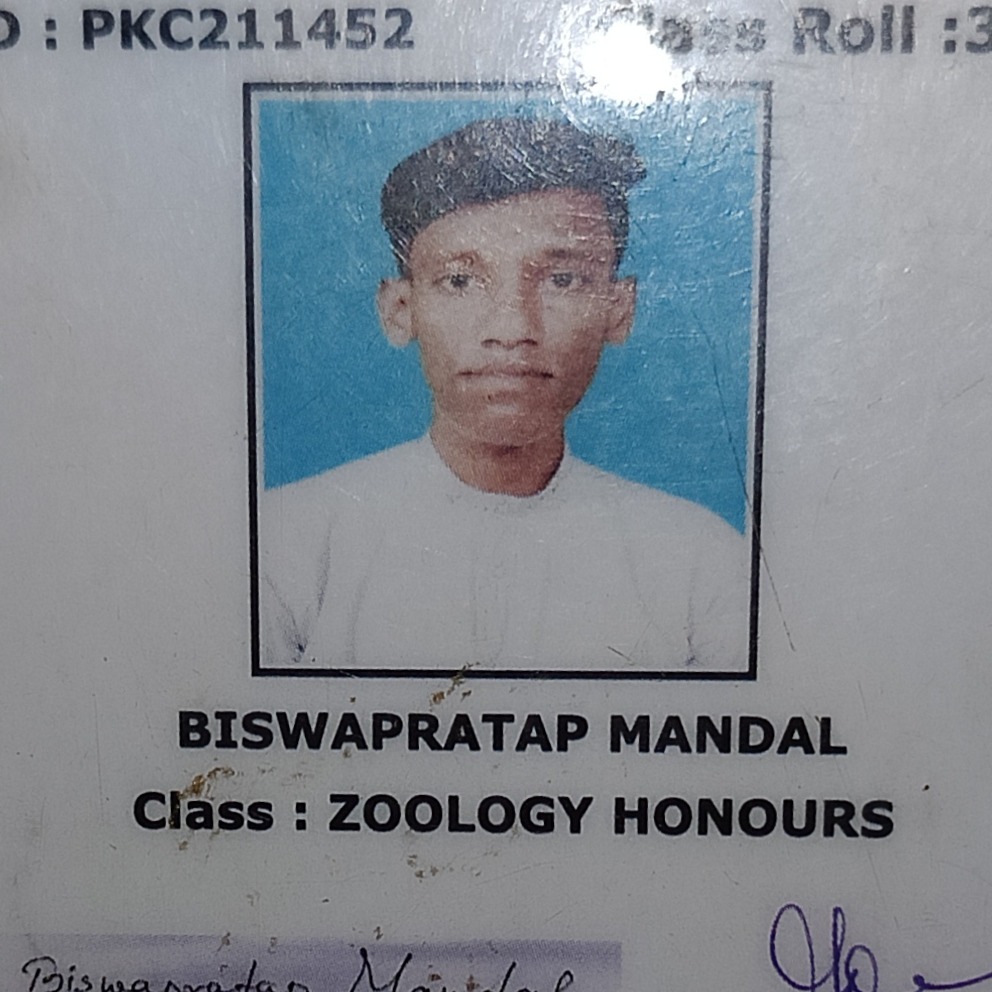 Biswapratap Mandal