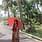 Anusree Priya L