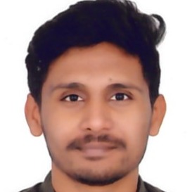 Burra vishnu