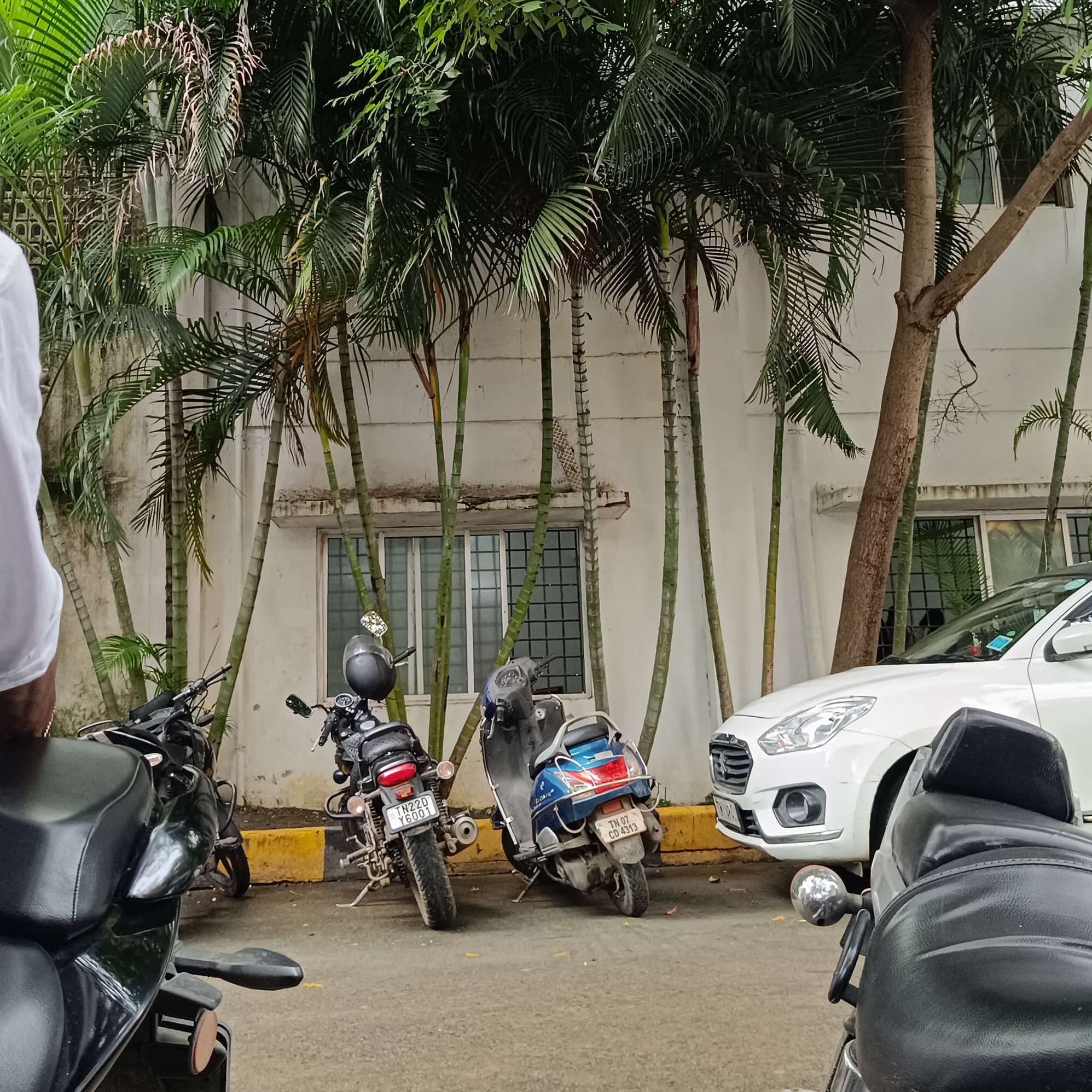 Nalluri Pujitha