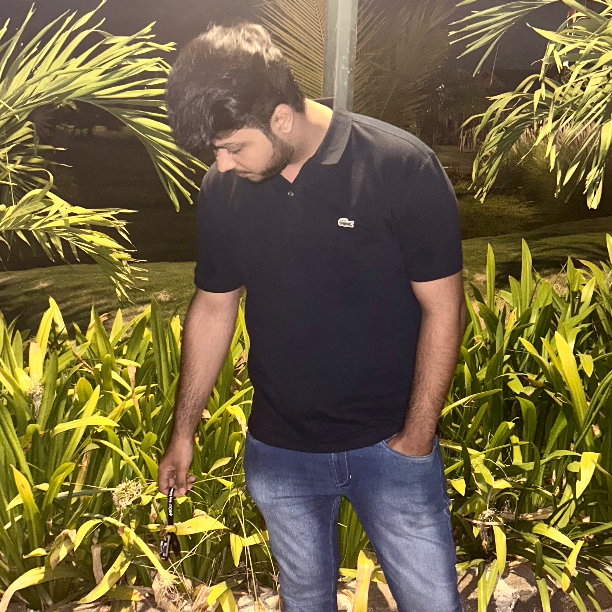 Romit Abwani
