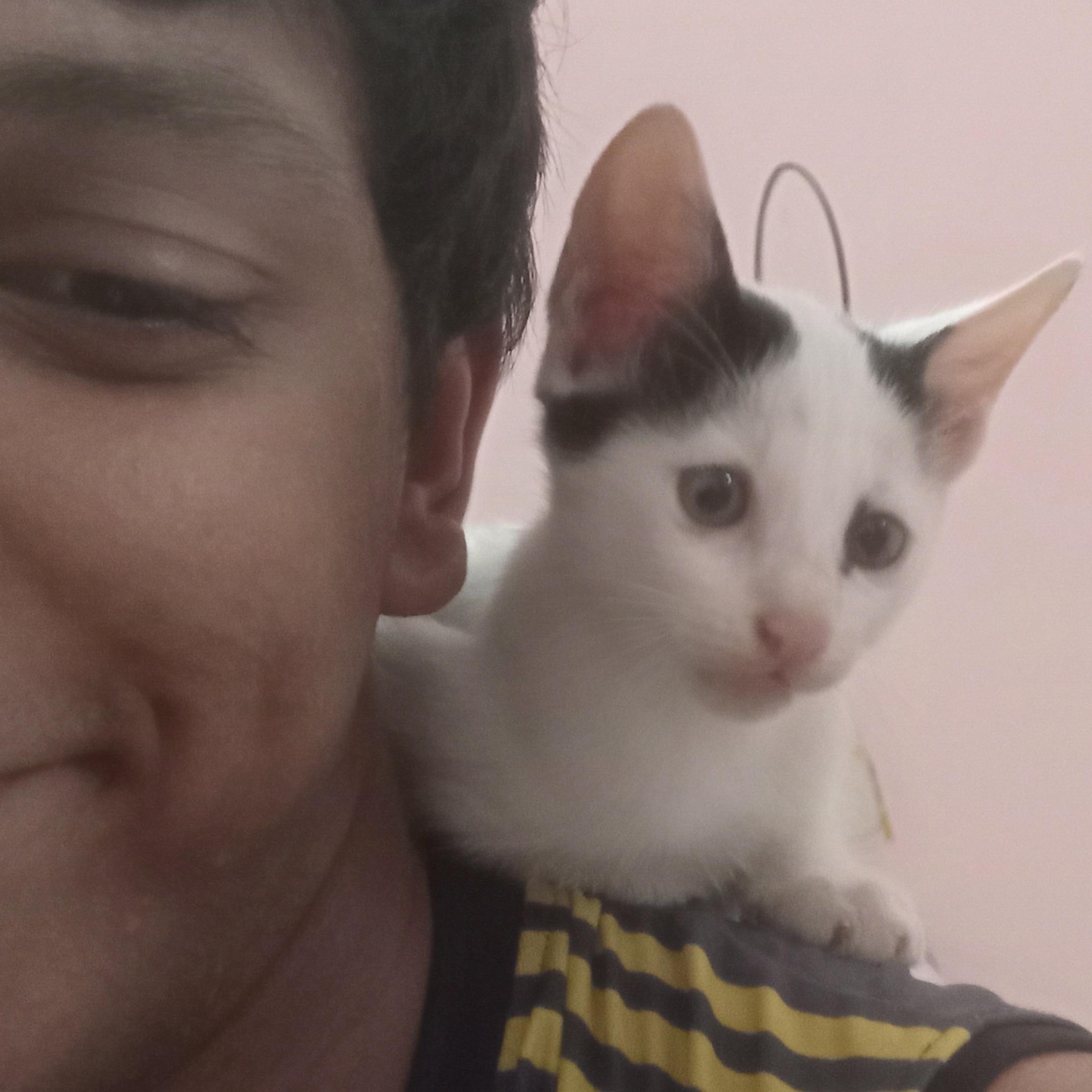 Nayan Giri