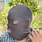 Aneesh