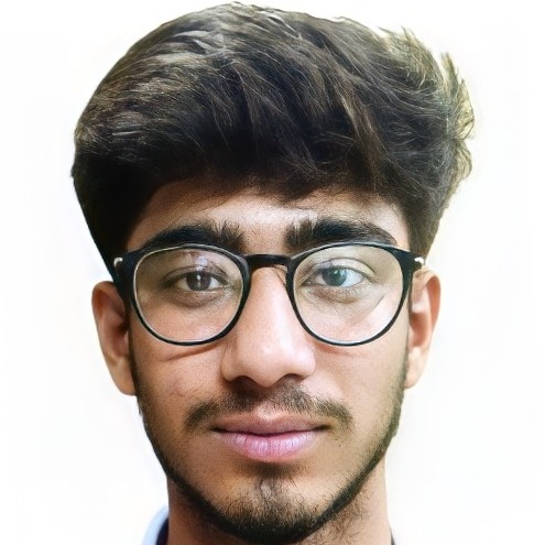 Hamza Ansari