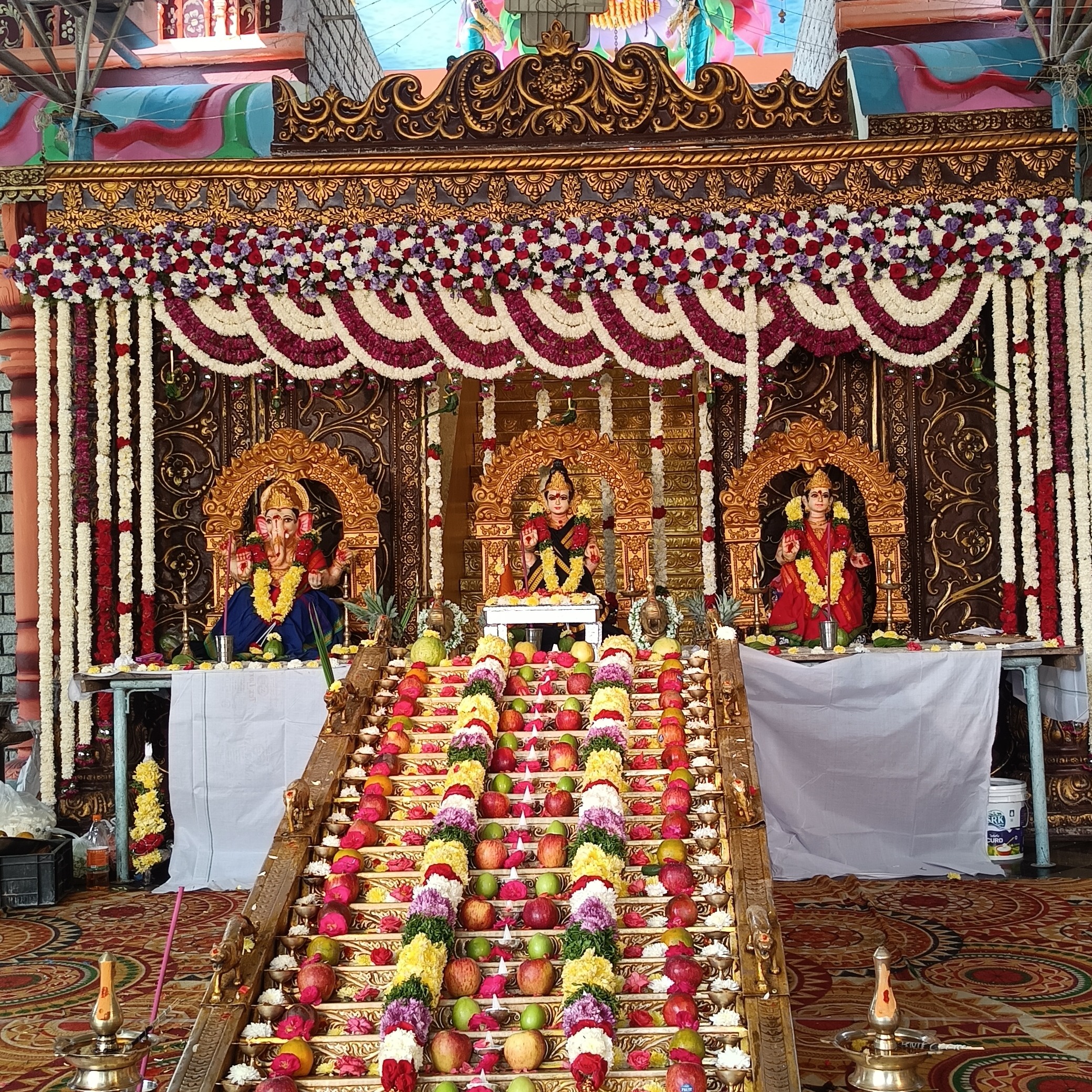 Bolli Sree Vyshnavi