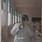 Nilanjasha Howlader
