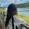 Ananya