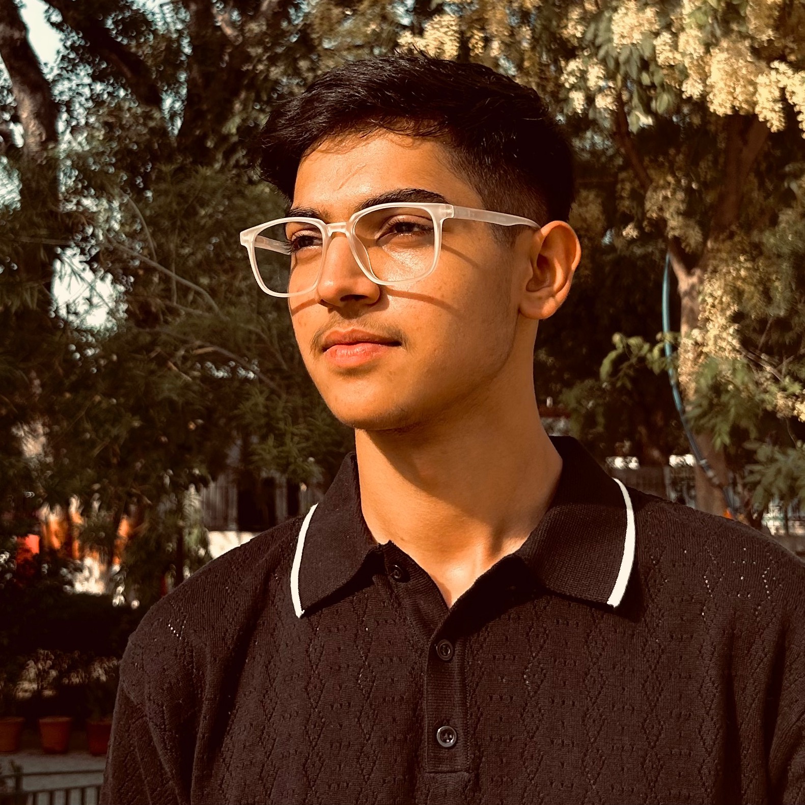 Kartik kukkar
