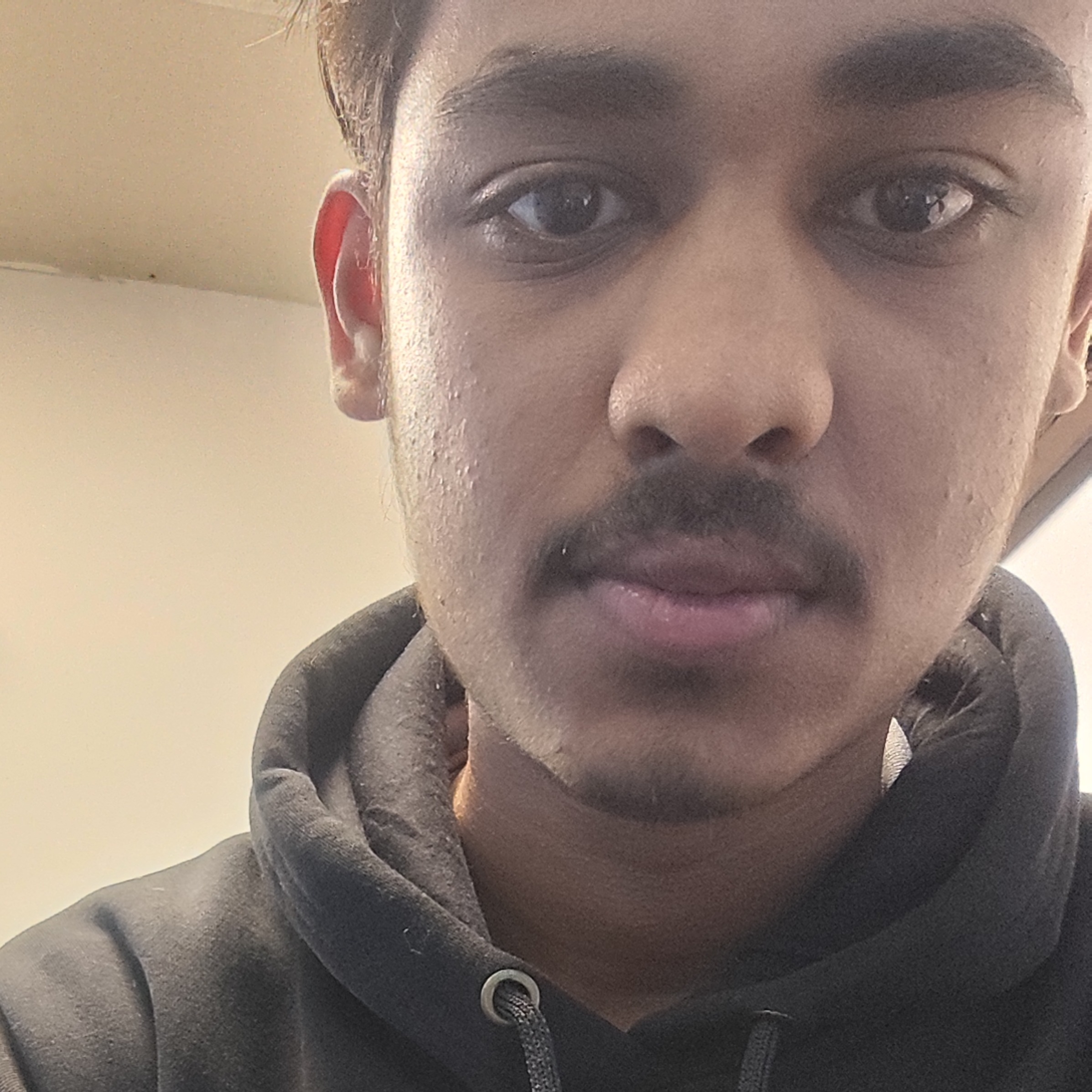 Zain ali