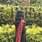 Sadhika Saji K