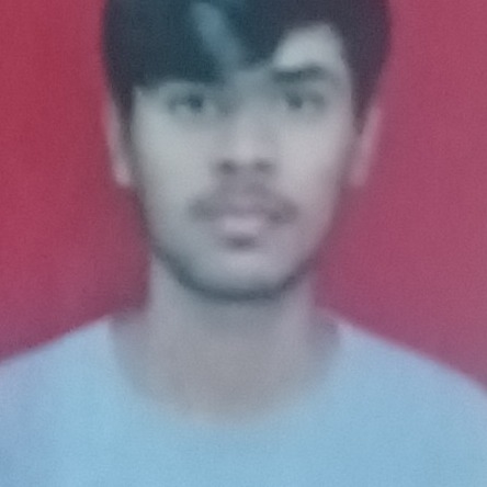 Krishna Birajdar